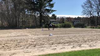 Beland Dressage  Training Level Test 1 2019 [upl. by Eiuqnimod]