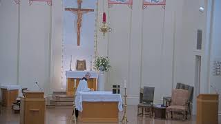 November 11 2024 at 800 am Catholic Mass from Our Lady of Peace in Vacherie LA [upl. by Oidgime]