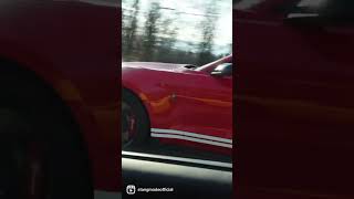 2020 Shelby GT500 vs 2023 C8 Z06 Corvette Both Stock [upl. by Farrow]