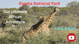 Etosha National Park Namibia [upl. by Leik130]