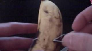 How To Cut a Banana Before You Peel It [upl. by Kizzee]