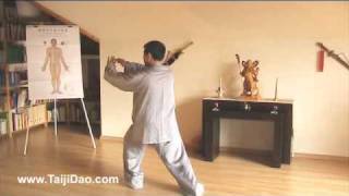 Meister Shen Xijing Was ist Taijiquan Teil 2  Trainingsmethoden [upl. by Yadroc]