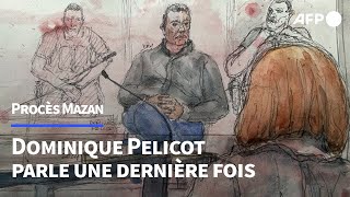 Procès des viols de Mazan Gisèle quotn’était pas une femme soumisequot selon Dominique Pelicot  AFP [upl. by Hiroko154]