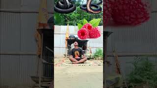 Shankar je Ka damru baje Parvati Ka nandan nache harharmahadev jay bhole Baba bhakti shankar [upl. by Hayott]