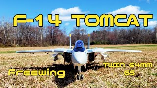 Maiden Flight of the Freewing Twin 64mm F14 Tomcat [upl. by Olrak]