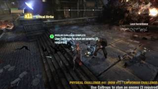 Batman Arkham City  Catwoman Physical Challenges [upl. by Veal50]