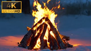 🔥 Cozy Campfire in the Winter Forest 10 HOURS 4K Ultra HD 🔥 Burning Logs amp Crackling Fire Sounds [upl. by Suanne]