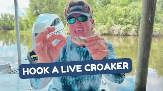 The BEST WAY to Hook a Live Croaker [upl. by Eart48]