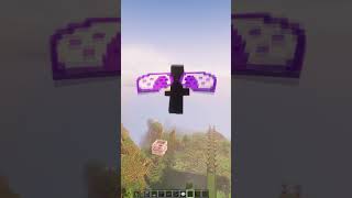 minecraft elytra launch  Kailefra minecraft redstone fyp [upl. by Essyla]