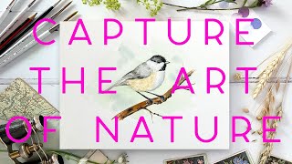 How to Paint a Watercolour Chickadee [upl. by Yenar422]