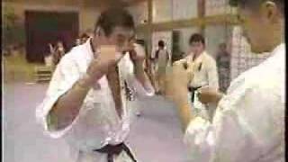 Karate kyokushin training From the 8th world open [upl. by Norford]