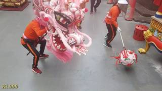 Cap Go Meh Singkawang 2019  12 Duplikat Naga Keliling Kota [upl. by Eissen]