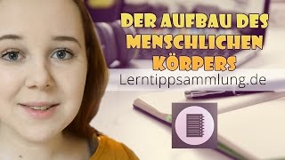 Der Aufbau des menschlichen Körpers  Lerntippsammlungde [upl. by Mendel]