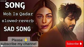 SlowedreverbNew Song 2024  New Hindi Song  Woh Is Qadar New Sad Song  Kartik Aaryan [upl. by Lapotin]