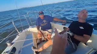 Tips for sailing spinnaker [upl. by Maloy]