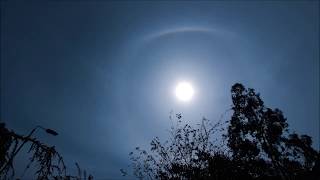 Complex Sun Halo With 360 Parhelic Circle  Time Lapse April 23rd 2020 [upl. by Kung]