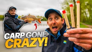 Get The Carp Going CRAZY  Pellet Waggler Fishing [upl. by Robins]