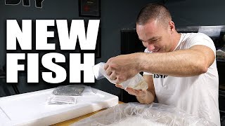 AQUARIUM FISH UNBOXING [upl. by Hsirehc]