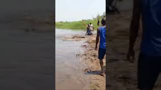 Imagens reais de um crocodilo tentando atacar uma mulher [upl. by Nosmirc]