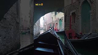 gondola service venedig venice touristspot gondola shortsvideo [upl. by Thormora]