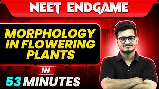 MORPHOLOGY OF FLOWERING PLANTS in 53 Minutes  NEET 2024 [upl. by Lekar70]