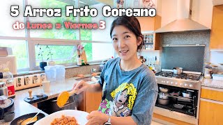 5 Arroz Frito Coreano Para la Toda la SemanaㅣDe Lunes a Viernes 3 [upl. by Eldreeda]