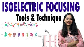 Isoelectric Focusing II Isoelectric Focusing of Proteins II Techniques [upl. by Lem]