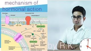 Mechanism of hormonal action  NCERT Based for NEET students [upl. by Hahnert]