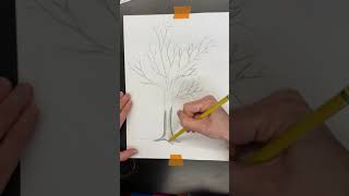 Unit 2 Tree Drawing Adding Value [upl. by Mirella]