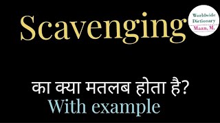 scavenging meaning l meaning of scavenging l scavenging ka Hindi mein kya matlab hota hai l vocabul [upl. by Ajnat662]