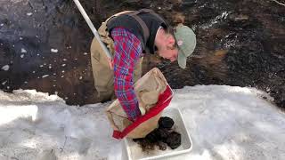 Benthic Basics  Sampling With a Kick Net [upl. by Bertasi468]