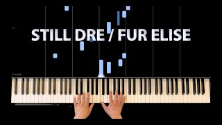 Fur EliseStill DRE Piano Cover Easy Synthesia Tutorial Midi Download [upl. by Aehsel151]