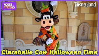 Clarabelle Cow Meet and Greet in NEW Disneyland Halloween Time Outfit 2024 [upl. by Ern547]