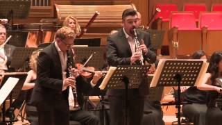 Wenzel FuchsampOrçun Civelek Franz Krommer Duo Concerto in Eflat major Op35 MvtII [upl. by Luy]