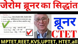 जेरोम ब्रूनर का सिद्धान्त jerom bruner theoryctet and tet exam [upl. by Salita109]