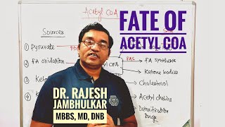 7 Fate of Acetyl CoA [upl. by Strauss41]