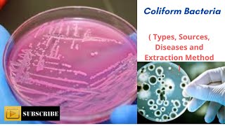 “COLIFORM BACTERIA” [upl. by Ayyn]