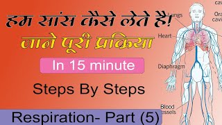 Respiration Step By Step By Azhar Sir jtet ctet kvs kvsdsssb [upl. by Anelrats948]