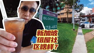 新加坡平价组屋的社区是什么样的？ [upl. by Willow579]