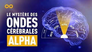 LE MYSTÈRE DES ONDES CÉRÉBRALES ALPHA NEUROSCIENCES  CERVEAU [upl. by Casta]