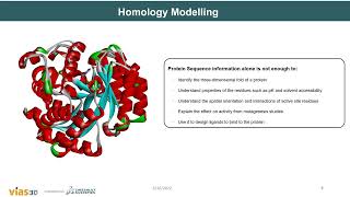 Protein homology modelling using BIOVIA Discovery Studio [upl. by Annaigroeg]