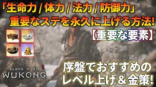 【黒神話 悟空】重要なステータスを永久に上げる方法！序盤おすすめのレベル上げ＆金策場所ご紹介【BlackMythWukong】 [upl. by Ecirtnom]