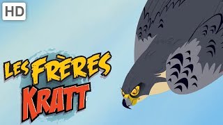 Les Frères Kratt 🦅 Créatures Volantes et Ailées 🐦  Vidéos pour Enfants [upl. by Neeliak]