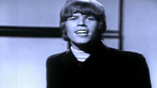 Hermans Hermits  Theres A Kind Of Hush original 1967 [upl. by Neu]