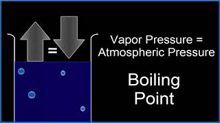 Boiling Point of Liquids [upl. by Sharon366]