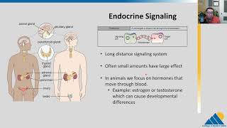 BIOL201 Ch91  Signaling Molecules and Cellular Receptors [upl. by Carlstrom]