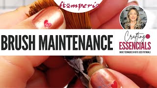 Crafting Essentials  brushes maintenance [upl. by Ynamad203]