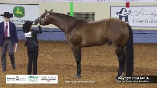 Select Aged Stallions  2024 AQHA World Championship Show [upl. by Dorn]