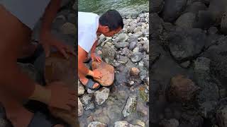 New Primitive Technology FISH TRAP with Fishing KR [upl. by Wolfson]