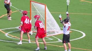 Princeton vs Cornell Lacrosse Highlights  2024 College Lacrosse [upl. by Aim159]